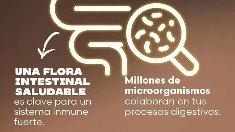 Flora Liv FuXion Chile